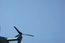 Osprey 03.webp