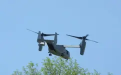 Osprey 04.webp