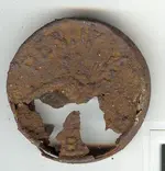 penny bank from grove.webp
