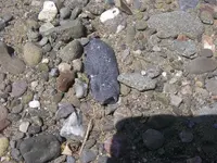 IMGP2965 (Large).webp