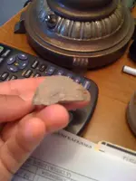 art.10.webp