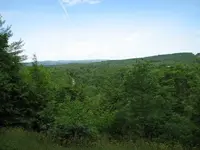 falls view from the top.webp