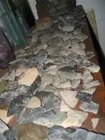 010.webp
