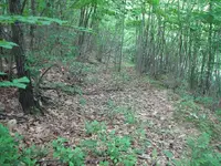 falls old rd.webp