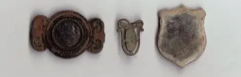 pins.webp