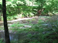 falls river.webp