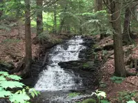 falls falls.webp
