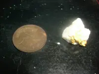 gold penny.webp