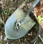 grubs.webp