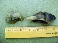 DSC00455.webp