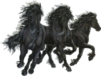 horses34.gif