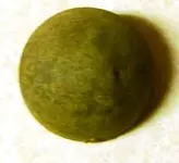 button front.webp