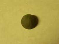 uncropped button.webp
