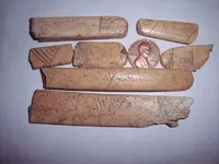100_4635.webp