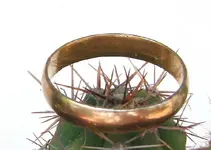 Gold sm.webp