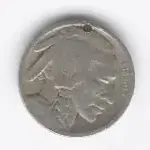 1919 Indian Nickel.webp