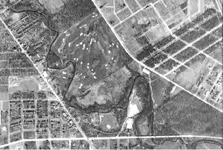 Bunker Hill old.webp