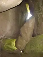DTT inside close.webp