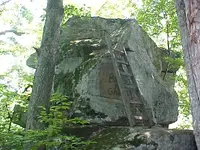 DTT and ladder.webp