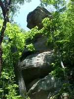 Devils Tea Table g.webp