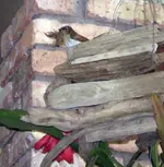 wren3.webp