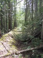 dscf3226j.webp