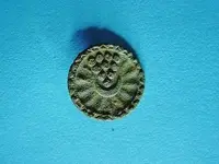 grape button.webp