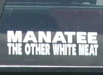 ManateeTheOtherWhiteMeat.webp