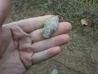 P1010041.webp