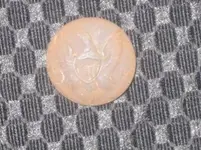small pics.webp