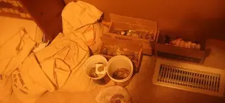 2008 stuff.webp