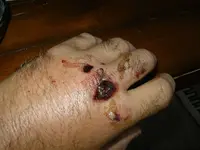 IMGP2580.webp