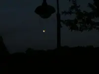 lights out.webp