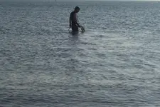 004.webp