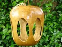 oval_feeder_sm.webp