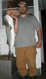 bigbass012.webp