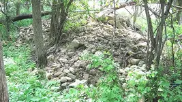 johnsnew 260.webp
