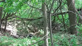 johnsnew 261.webp