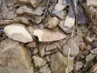 broken sitsu.webp