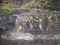 100_1944.webp