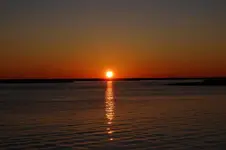 8.webp