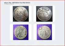 1999 State Quarter.webp