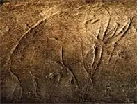 VeroBeachMammoth1.webp