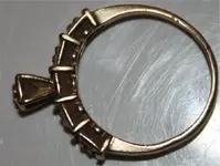 goldring1.webp