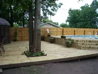Our Backyard 002.webp