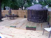 Our Backyard 006.webp