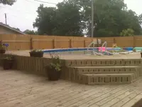 Backyard3.webp