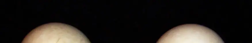 Picture_015.webp Picture_015.webp