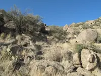 midtrail.webp