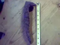 spike.webp